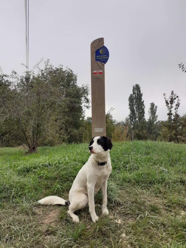 Tyrol sur le Chemin de Compostelle